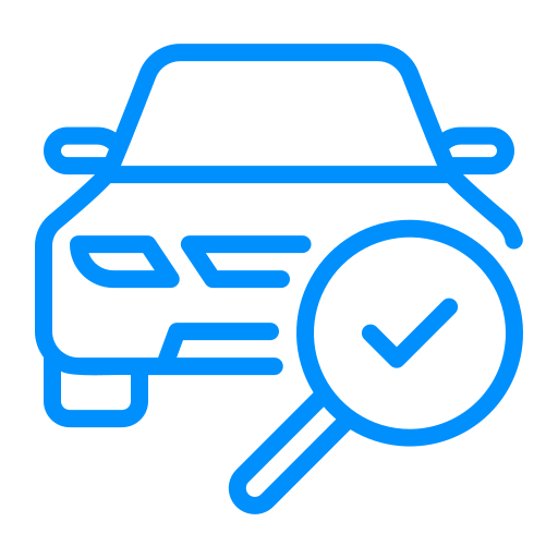 inspection icon
